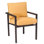 Dining Arm Chair - Stackable