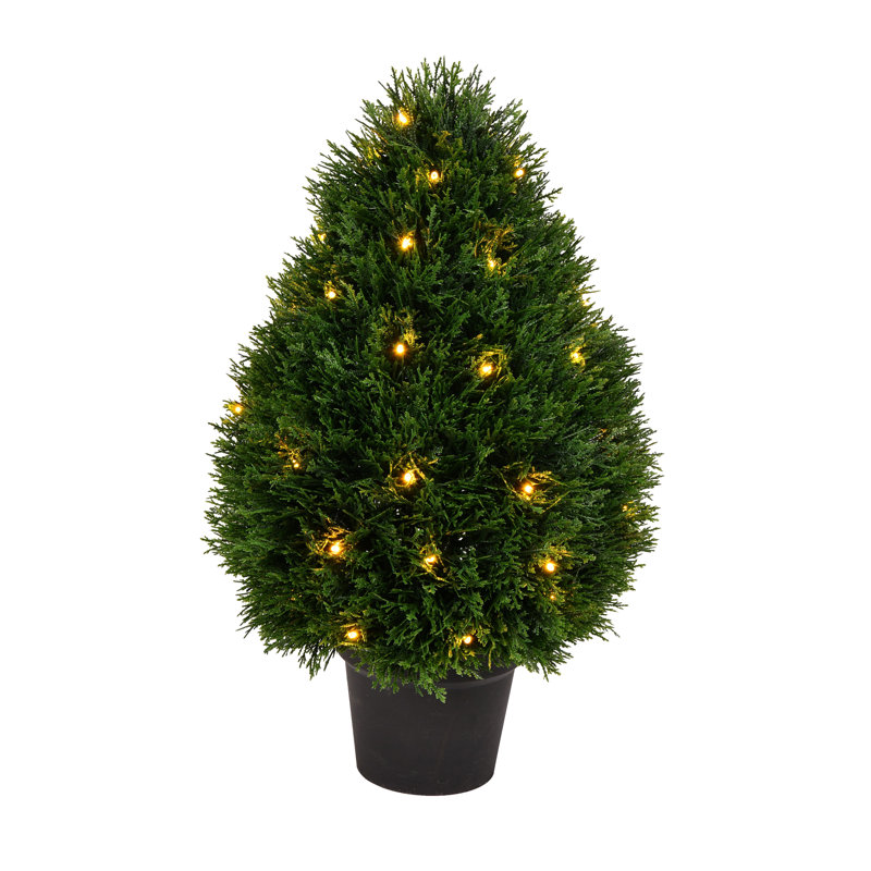 Buisson de cèdre en forme de larme Buisson de cèdre en forme de larme, H 24 po x l 15 po x P 15 po