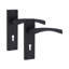 Door Handle with Bathroom Lock Set 