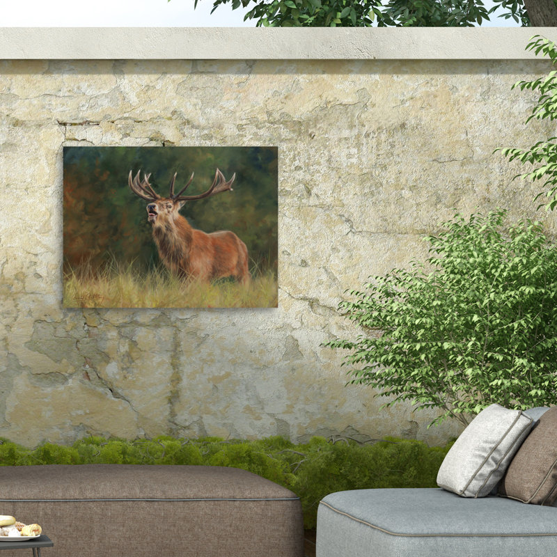 Toile d'extérieur David # 1 Stribble Stag, H 35 po x l 47 po