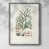 Distressed Silver Framed Paper selected