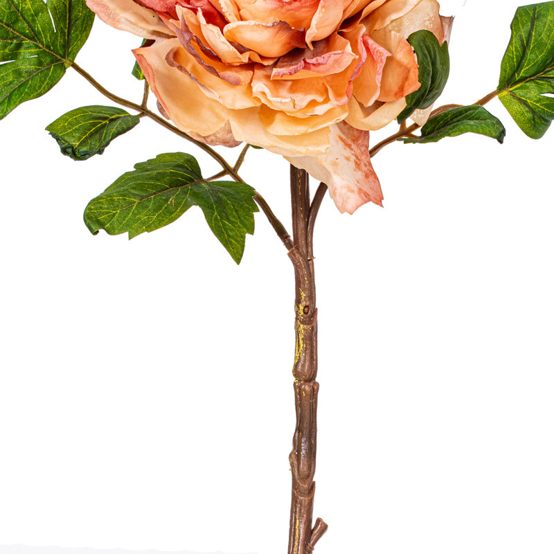 16.5 Peony Stem. Each bag contains three sprays., Brown