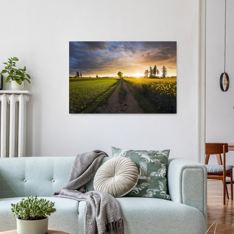 «Summer Meadow Abstract Contemporary Landscape Plant», reproduction d'art murale, H 24 po x l 36 po