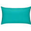 Lagoon Lumbar Indoor/Outdoor Pillow Cover & Insert