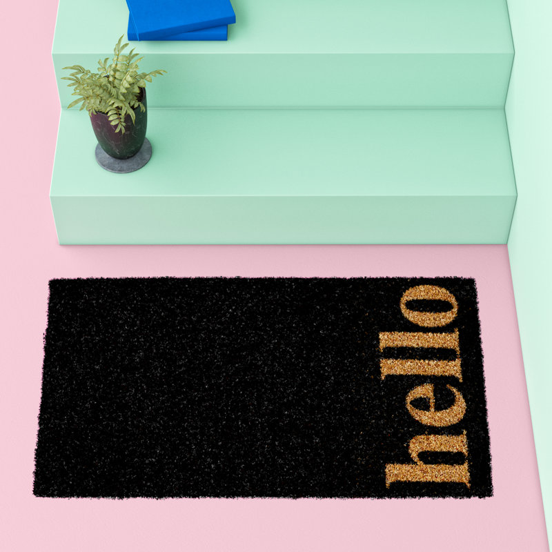 Arnitha Non-Slip Outdoor Doormat, Rectangle 2' x 3', Black/Natural