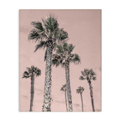 Palm, toile rose ciel, design par Natalie Carpentieri