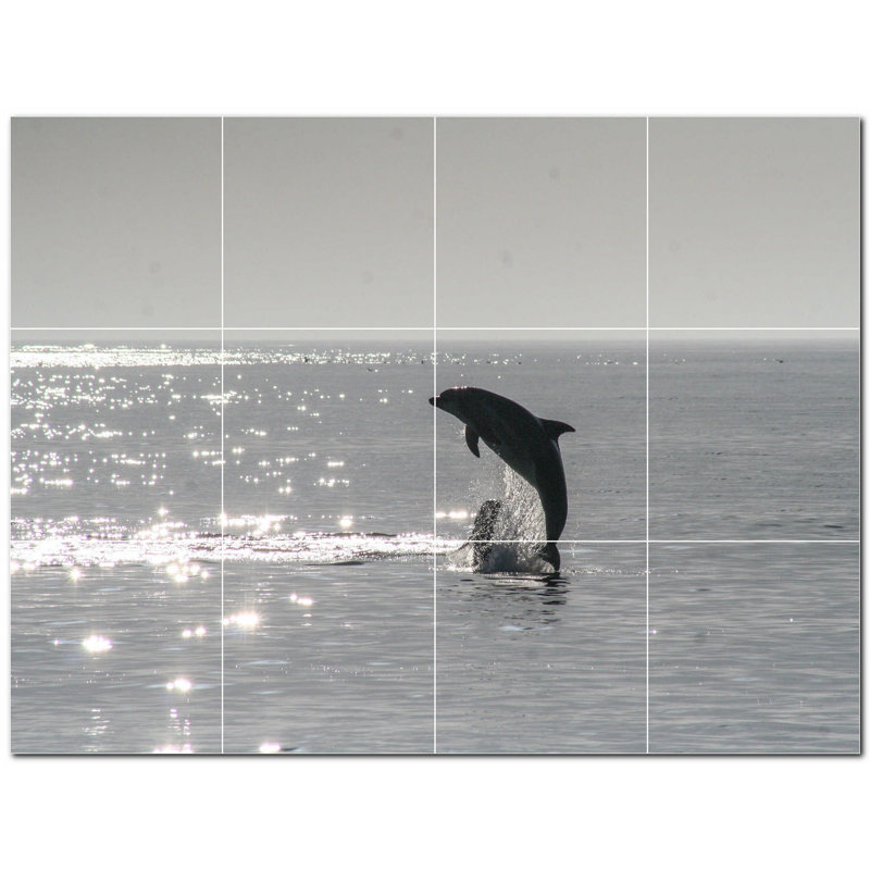 Murale en céramique 8 "x 8" Dolphin Photo