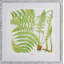 Brilliant Fern I Print