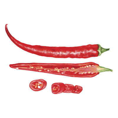 Red Chilli Pepper - Wrapped Canvas Print