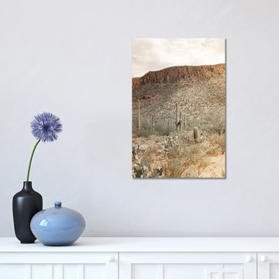 Desert Heart - Tucson, Arizona 1 Piece Wrapped Canvas Wall Art