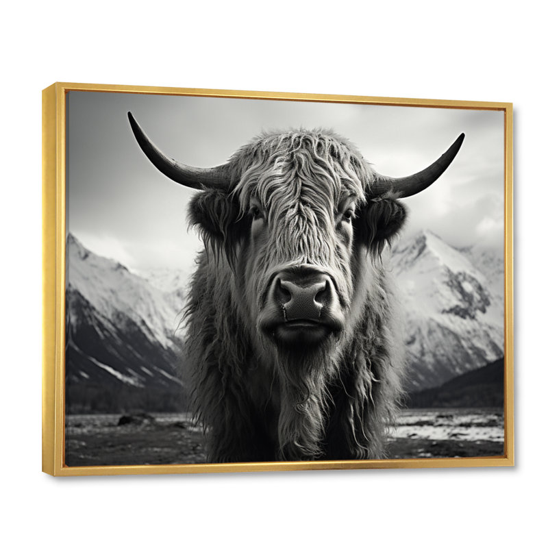 Portrait de yaks noir et blanc IV, H 12 po x l 20 po x P 1 po, Or