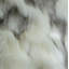 Cuddly Rabbit Pillow Cover & Insert-827959300-827959314