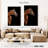Brampt Bay Stallion Horse-108437536