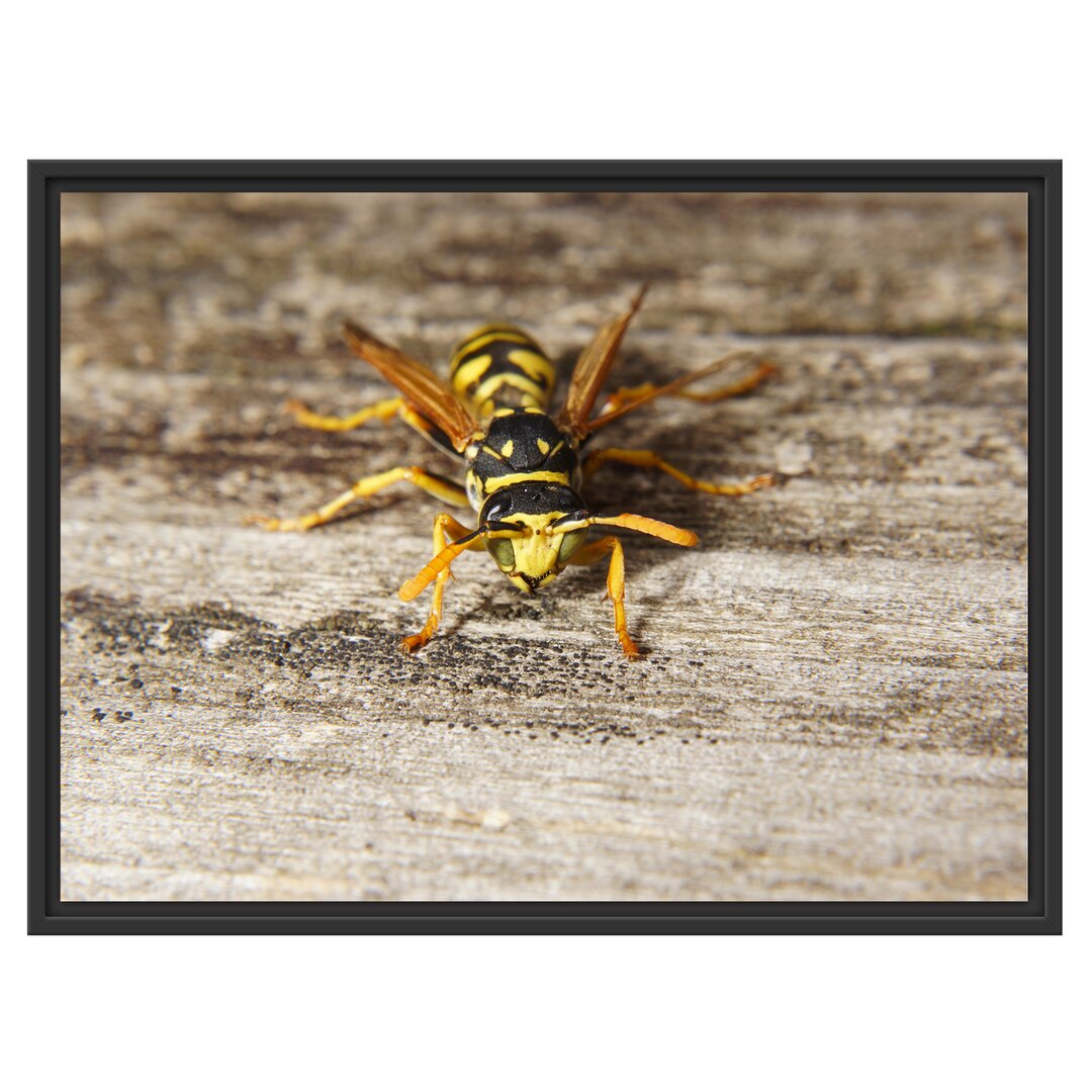 Gerahmtes Wandbild kleine Biene auf Holz