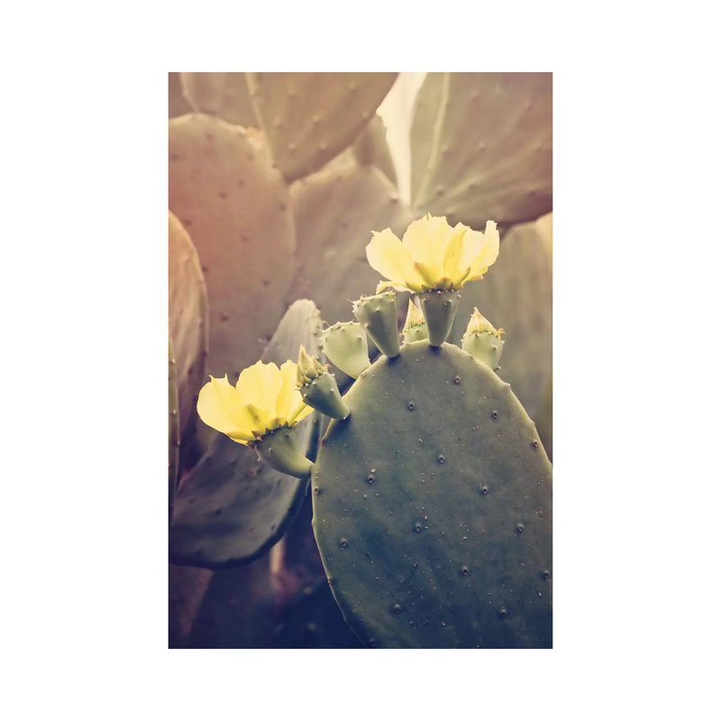 Desert Rose by Ann Hudec - Print on Canvas, Wrapped Canvas, 45.72cm H x 30.48cm W x 1.91cm D
