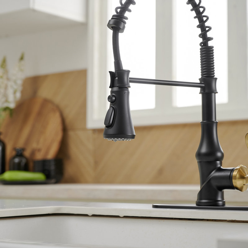 VIBRANTBATH Kitchen Faucet, Black Gold
