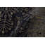Transitional One-of-a-Kind Rectangle 4' X 6' Hand Knotted Area Rug