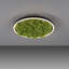 Ahlivia Not Applicable LED Flush Mount