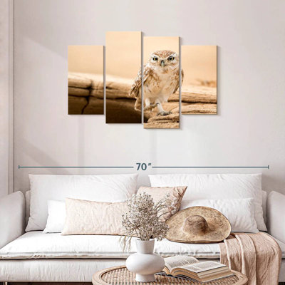 Brampt Desert Owl