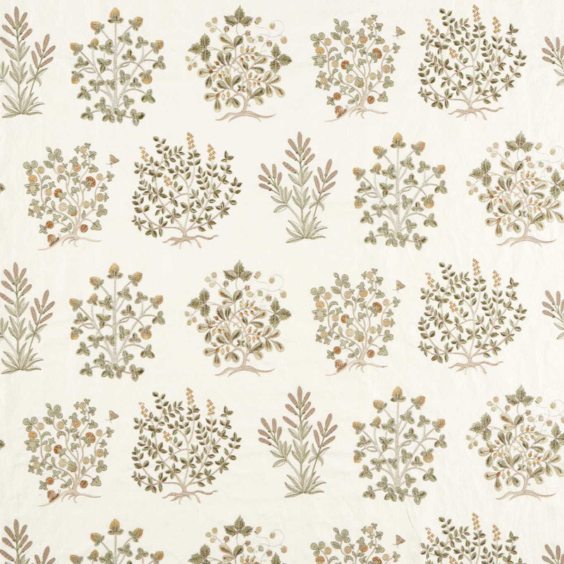 Highgrove Thyme Walk, Lichen/Gooseberry