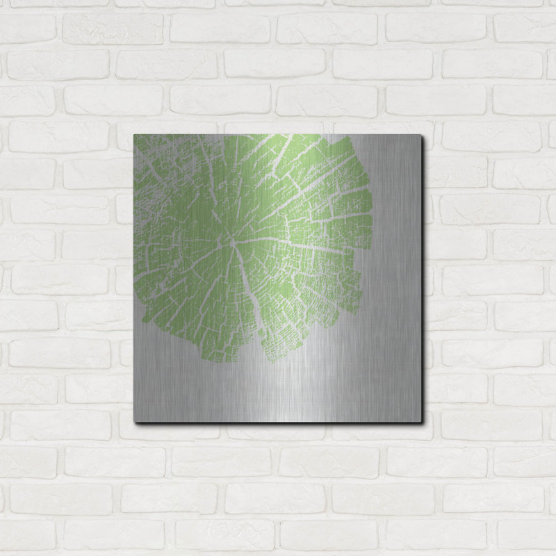 " Lime Slice " by Linda Woods