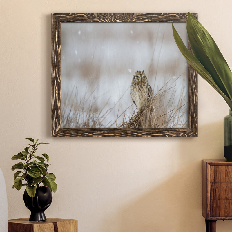 Prairie Winter - Reproduction de photo sur toile encadrée, H 20 po x l 17 po x P 1,5 po, Noyer