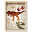 Adhésif décoratif dinosaures - 01 pi-47836271-47836259