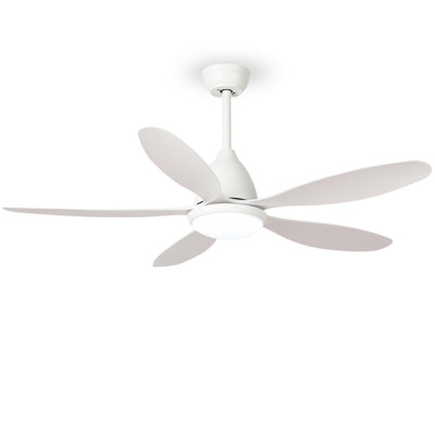 Ceiling Fan with Light Kit