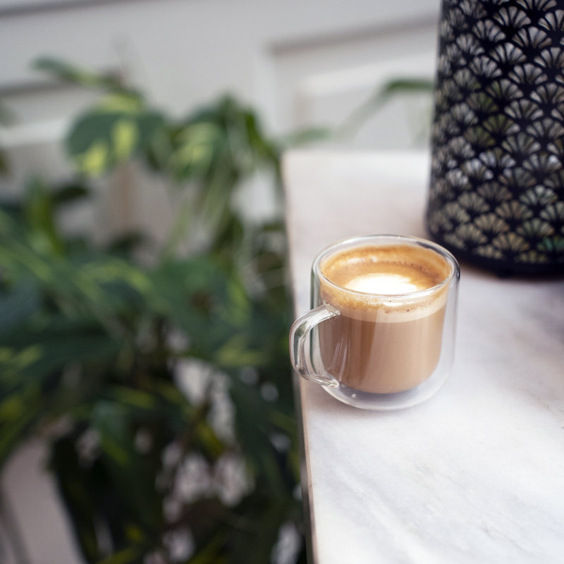 Thermic Sublime 8.1 oz. Cappuccino Drinking Glasses