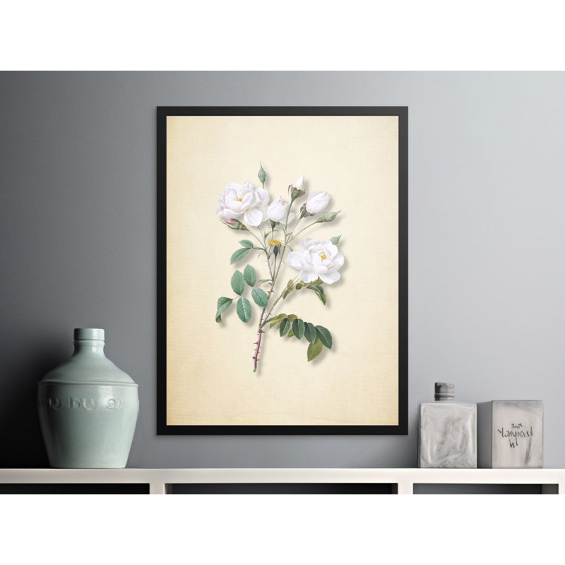 Anson Print, 11x14