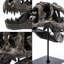 Statue de fossile Tyrannosaurus Rex T-Rex