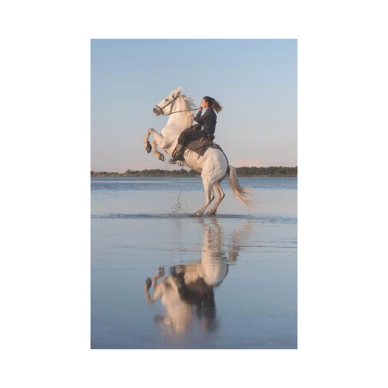 White Angels Of Camargue IV by Daniel Kordan - Wrapped Canvas Gallery-Wrapped Canvas Giclée, 20.32 cm H x 30.48 cm W