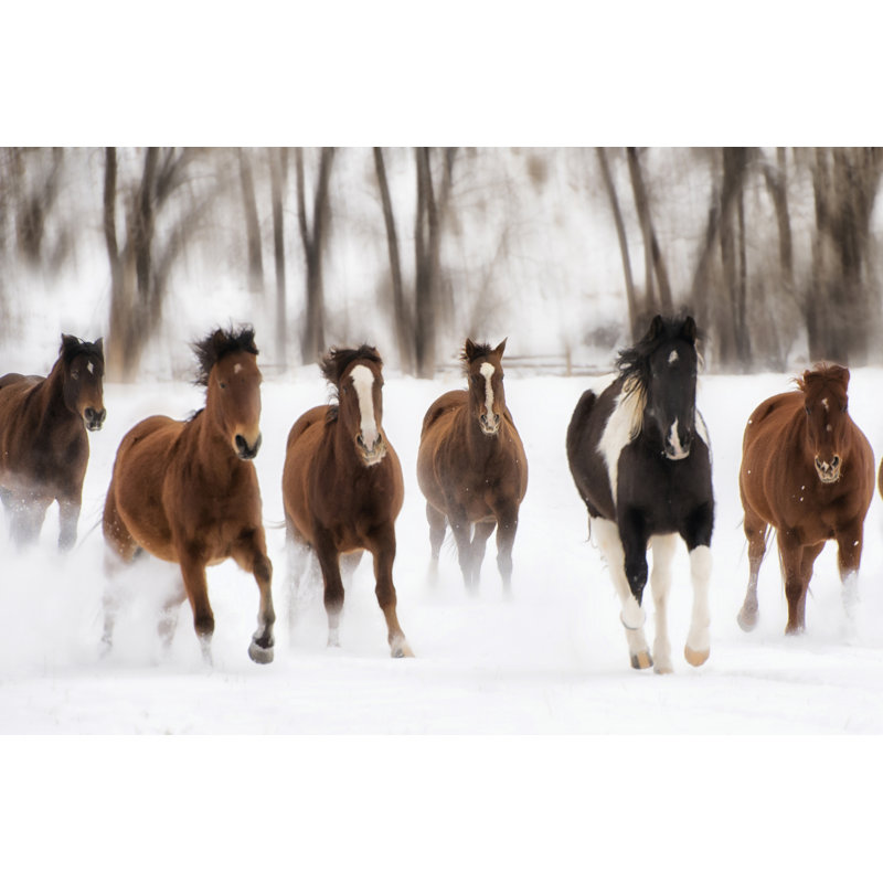 Snow Run I, H 24 po x l 36 po x P 1,25 po
