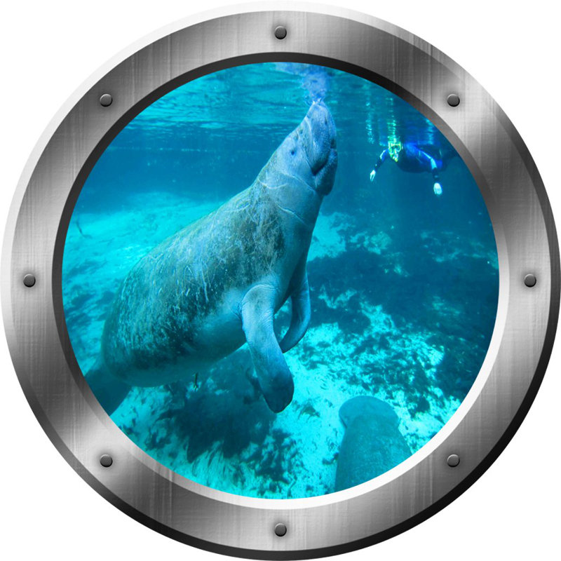 Adhésif décoratif lamantin hublot 3D Manatee, H 14 po x l 14 po x P 0,01 po, Argent