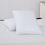 Ensemble de 2 coussins Artdeco Home