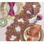 Classic Napkin-370791350