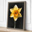 Golden Daffodil Botanical 1 Piece Wrapped Canvas Wall Art-1196099076-1196099102