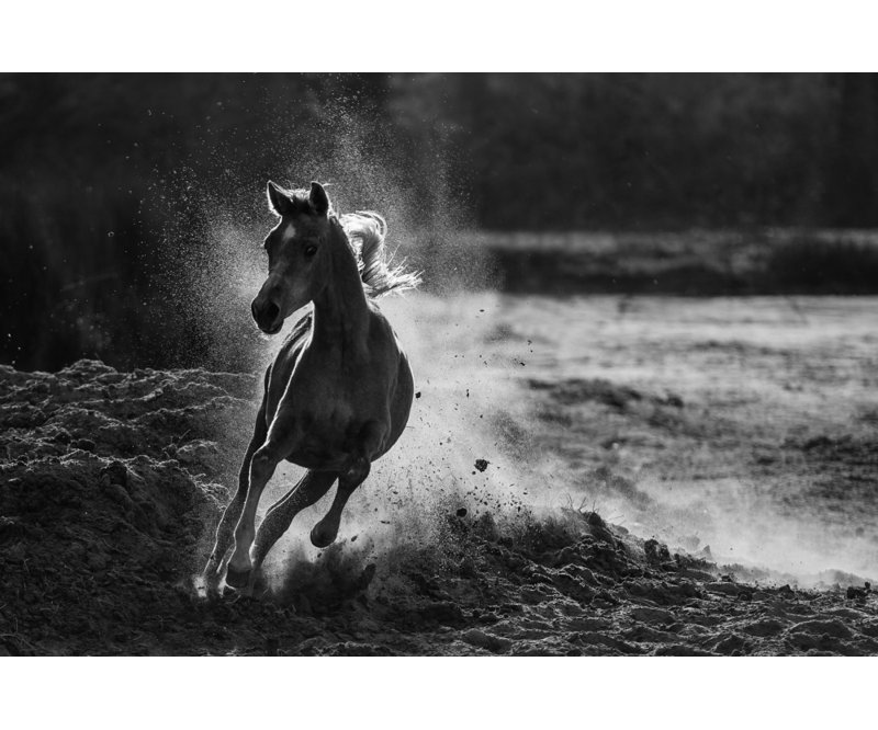 Wrapped Canvas Print, 91.44 cm H x 60.96 cm W