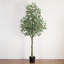 12 pi Eucalyptus artificiel