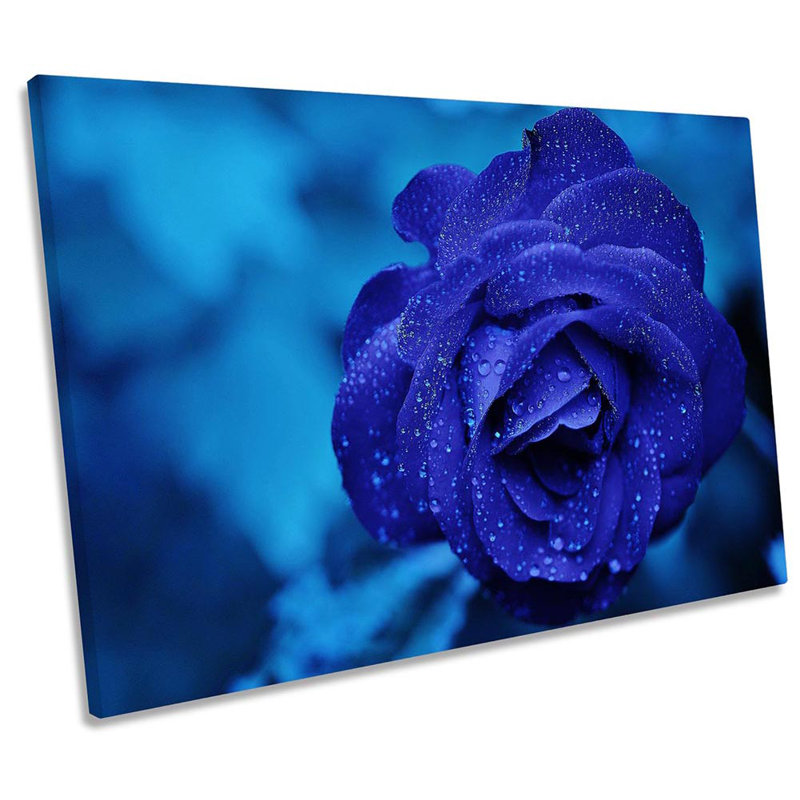 Blue Rose Floral Flower Framed - Wrapped Canvas Print, 30.5cm H x 45.7cm W x 2cm D
