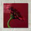 "Red Gerbera On Red 05" par Tom Quartermaine-470401756