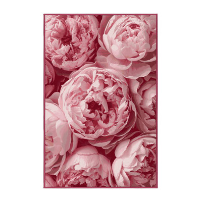 Soft Plush Ferrier Easter Modern & Contemporary Abstract Area Rug in Pink – Rose Binding