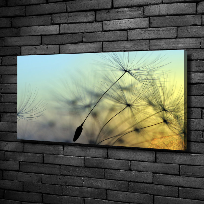 Dandelion Seeds - Print, Canvas, 50cm H x 100cm W x 2cm D