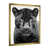 Gold Picture Framed