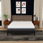 Polla 12-Inch Plush Gel Memory Foam Ultra Soft Mattress, Cooling Technology, Moisture Wicking, Breathable-1840301222
