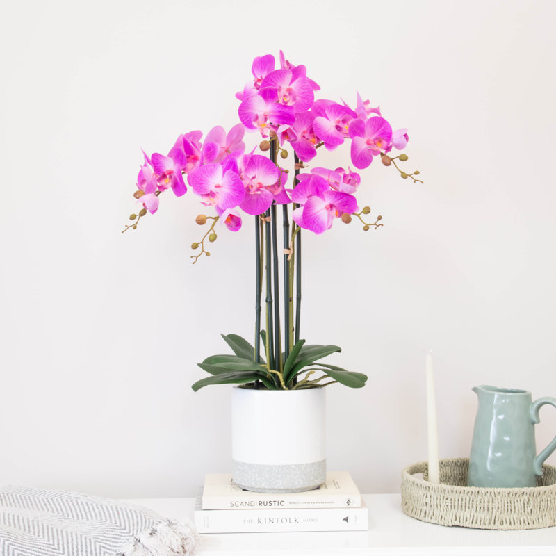 Polysilk Arrangement in Pot