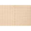 Geometric Area Rug in Beige