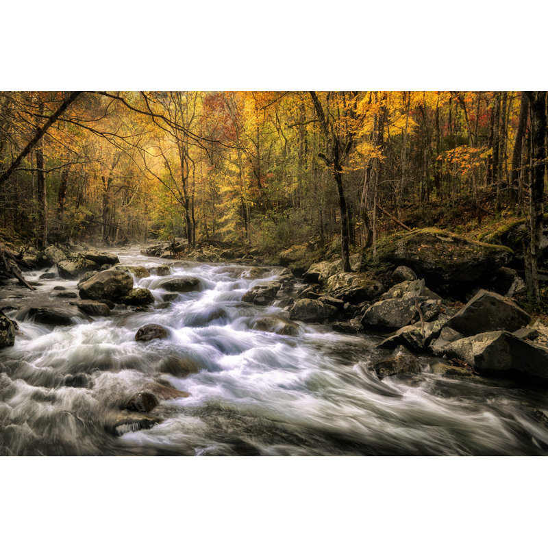 «Autumn Bliss» par Danny Head - photographie sur toile tendue, H 20 po x l 30 po x P 1,25 po
