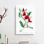 Red Tangier Pea Flowers - Wrapped Canvas-55329995