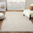 Textured Fringed Area Rug-103934614-129031171